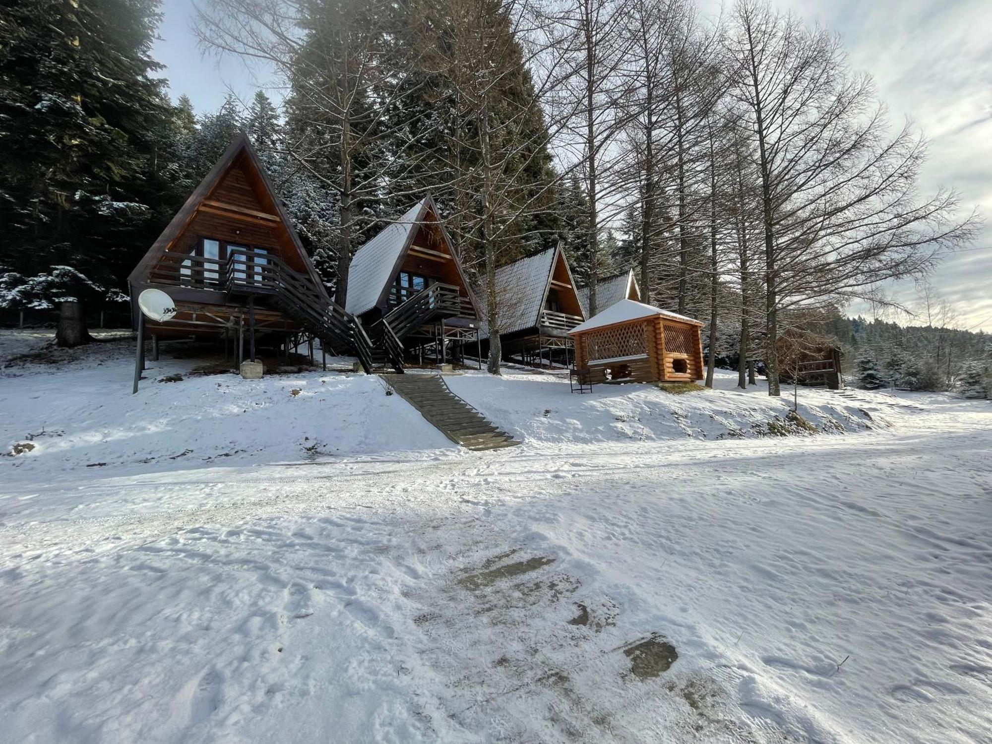 Karpatskyy * Rozluch